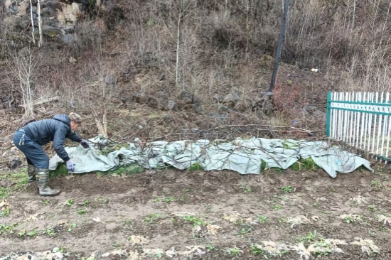 踐行綠色使命 書寫生態(tài)答卷森林資源管護(hù)大隊(duì)扎實(shí)推進(jìn)春季營林生產(chǎn)工作（2）.jpg