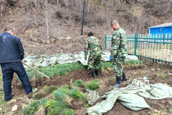 踐行綠色使命 書寫生態(tài)答卷森林資源管護(hù)大隊(duì)扎實(shí)推進(jìn)春季營林生產(chǎn)工作（1）.jpg