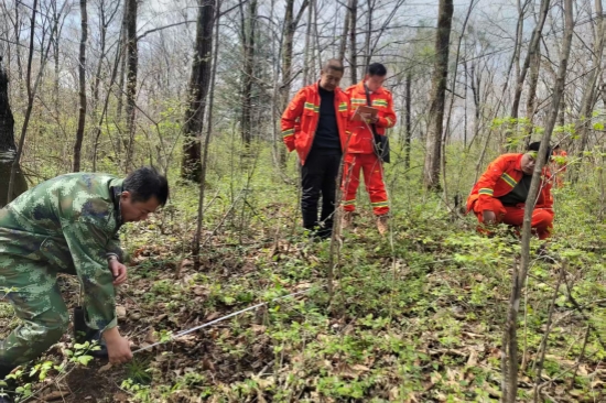 大東林場(chǎng)多措并舉 全力守護(hù)生態(tài)綠色畫卷（1）.jpg